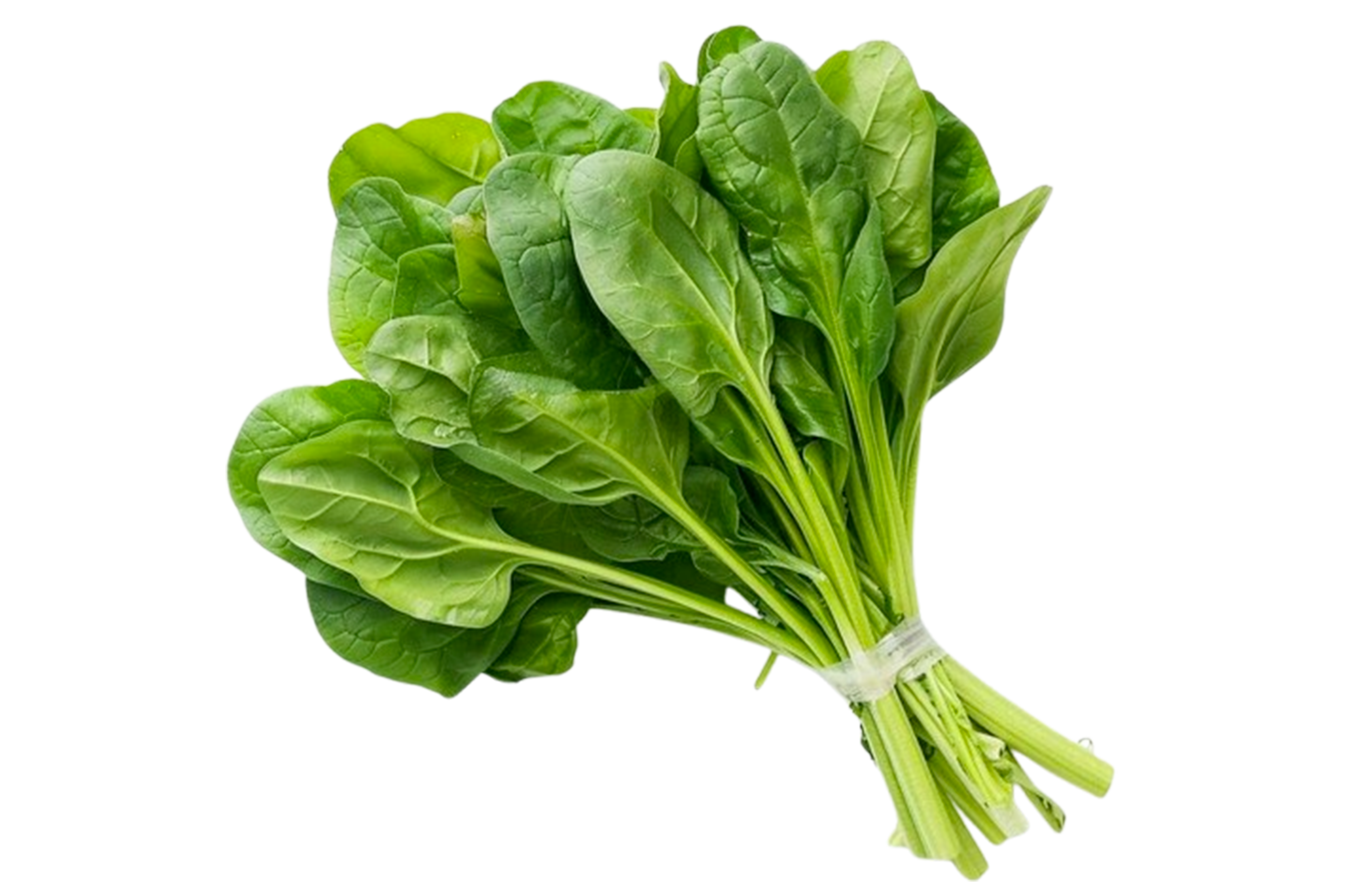 Legumes