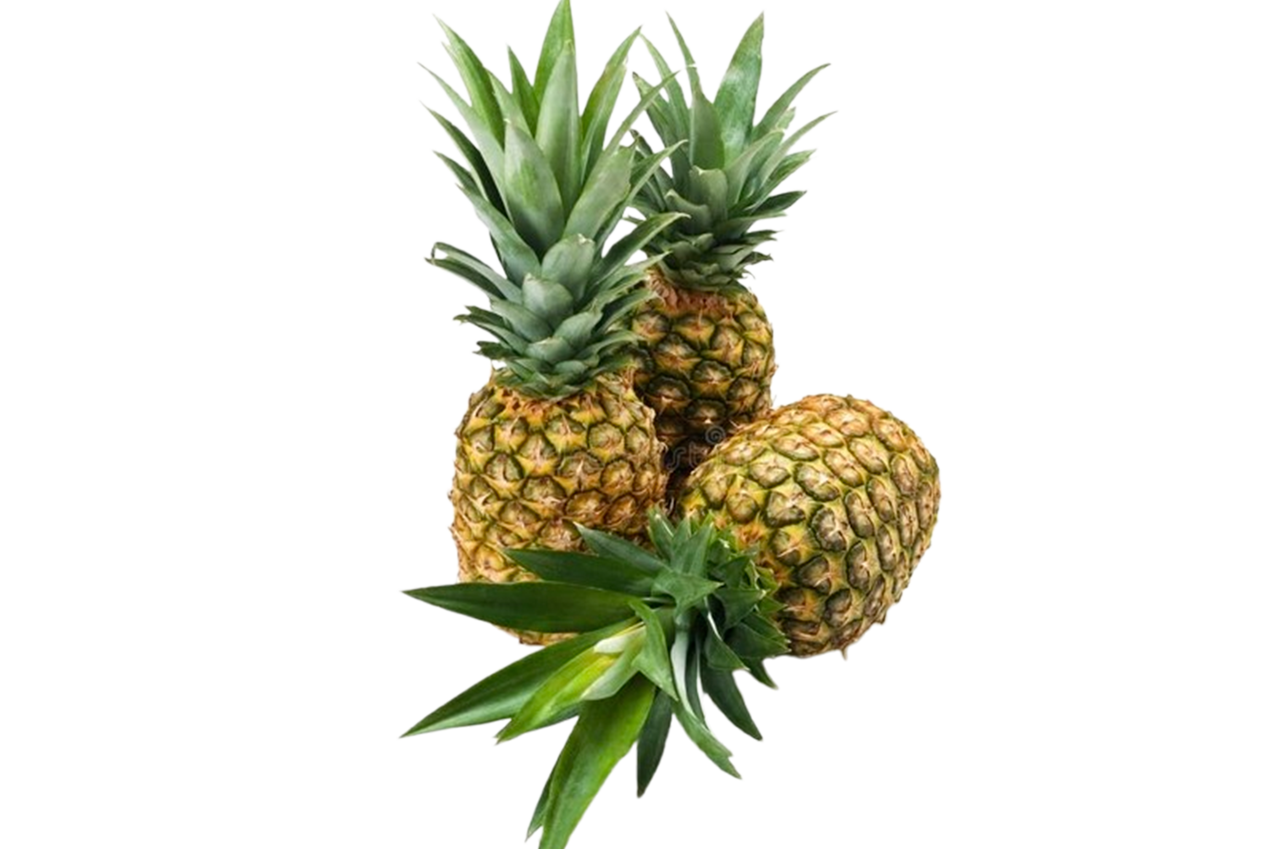 Fruits