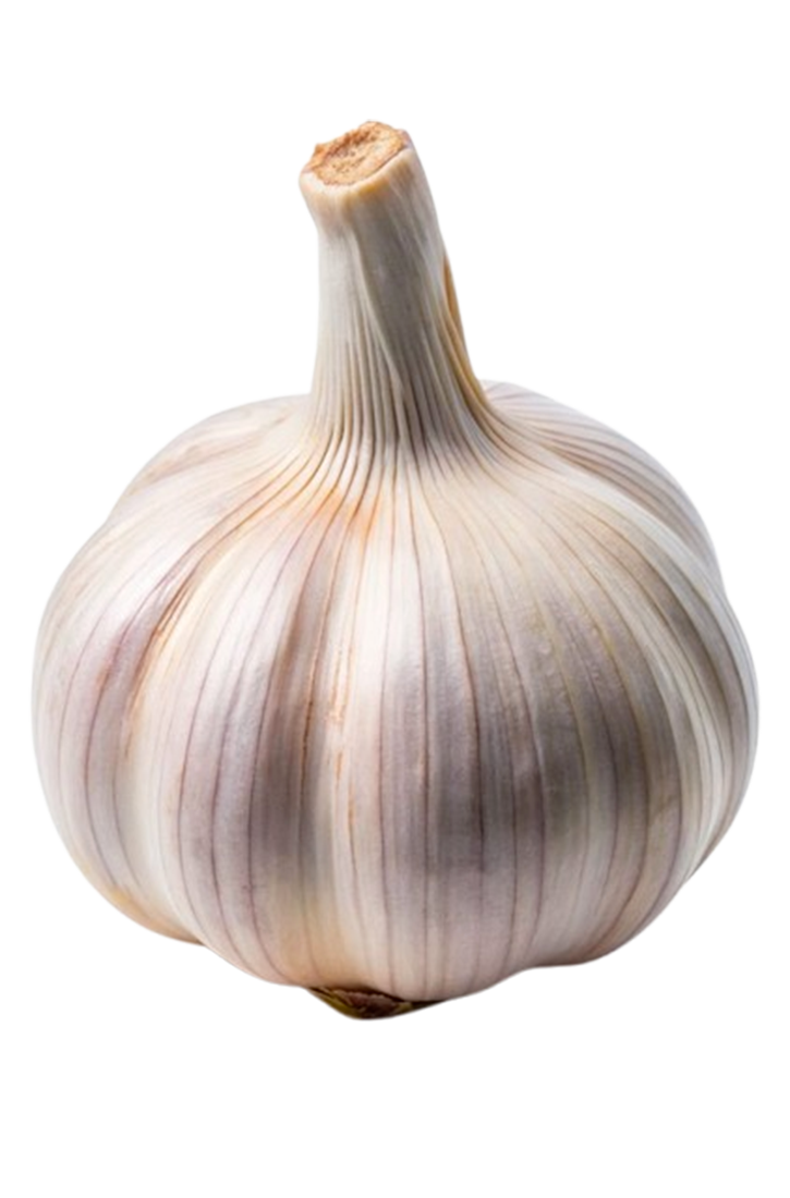 Panier